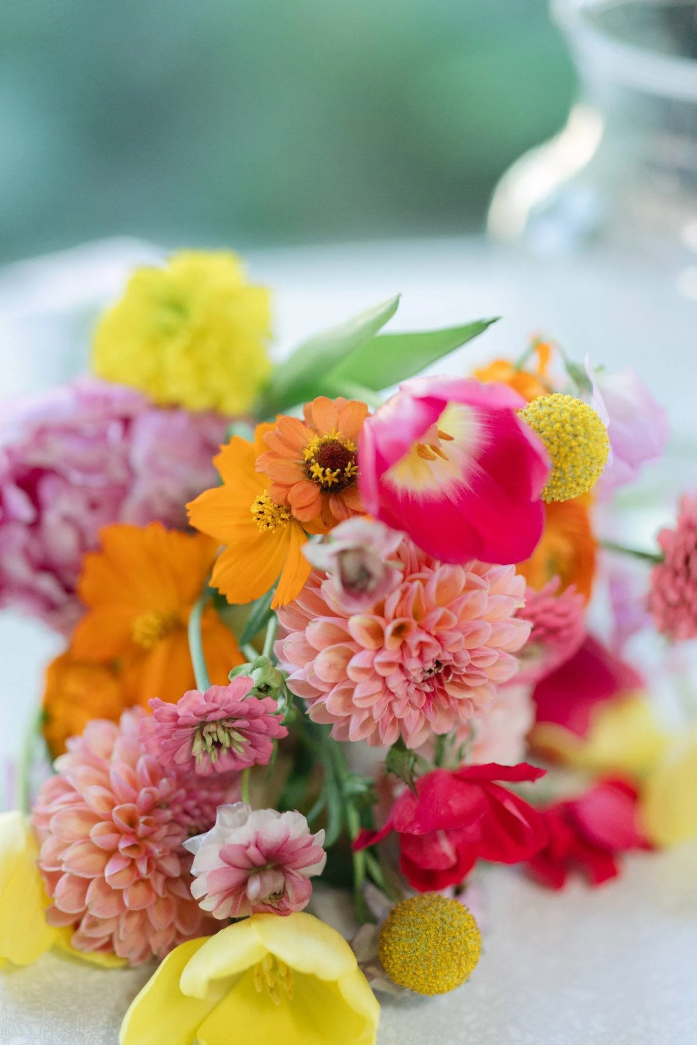 flowers_compressed.jpg
