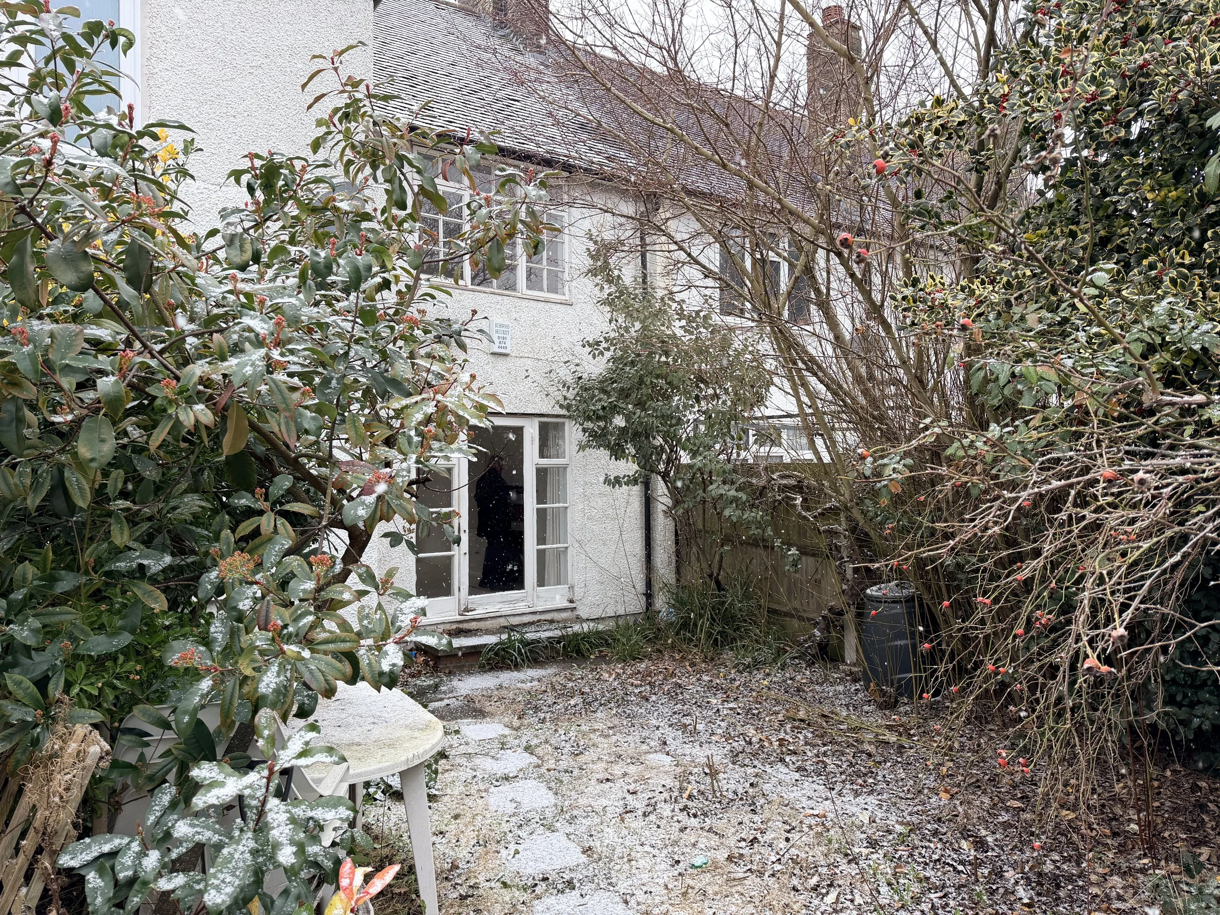 Image 17.JPG