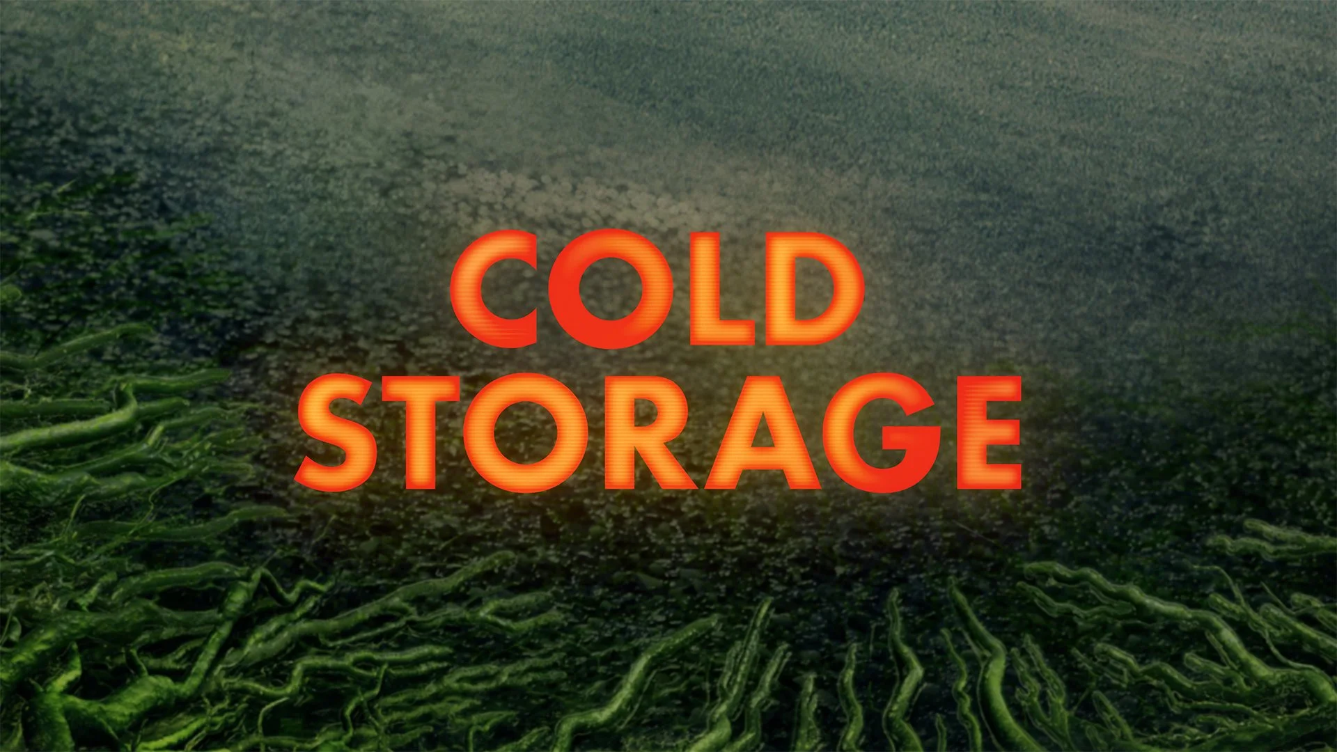 Green Room EmptyTrack_ColdStorage.jpg
