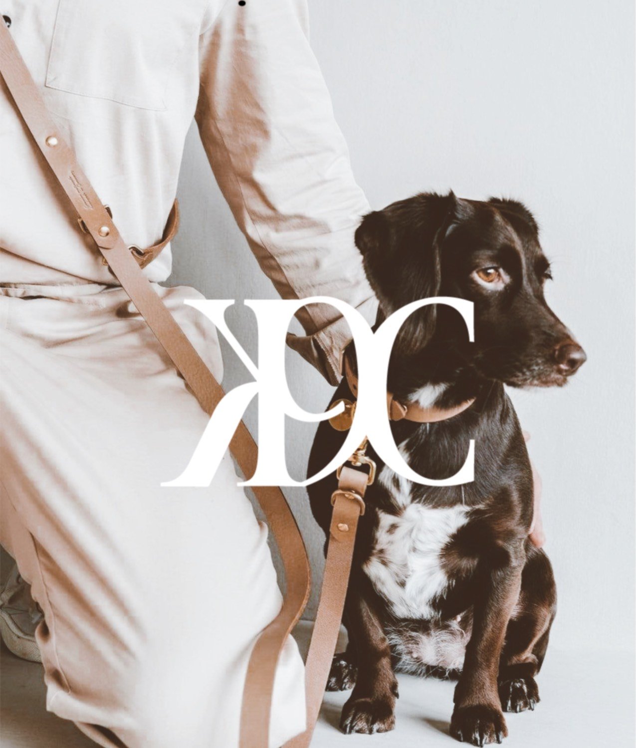 K9 Conversations // Client Project