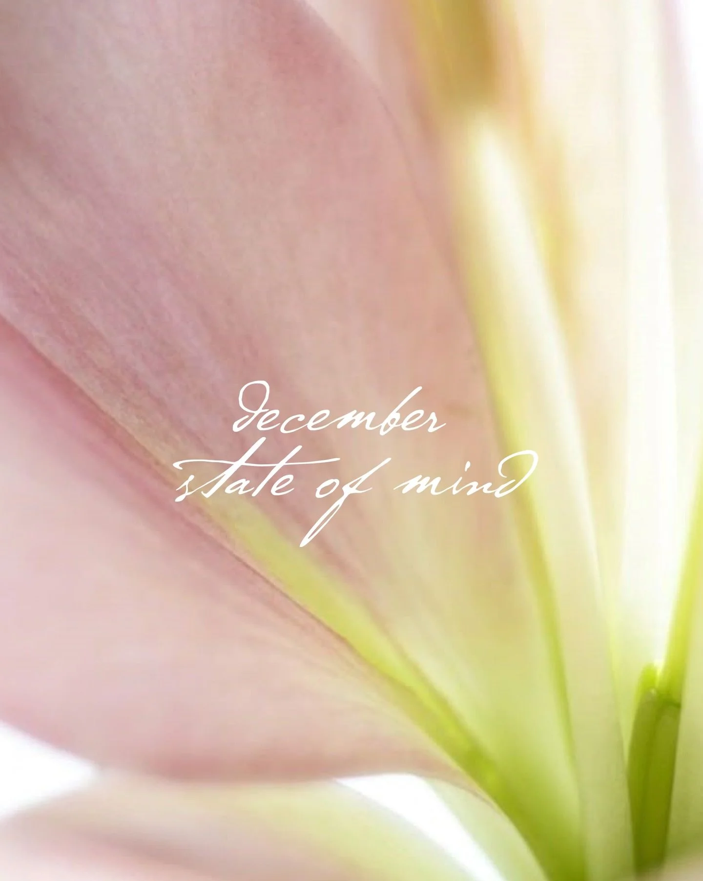 December always puts me in this mix of slowing down and celebrating at the same time. 

I&rsquo;m giving myself grace for the goals I didn&rsquo;t hit, because honestly&hellip; I did a lot of growing this year. 🤍 I just want cozy mornings, warm coff