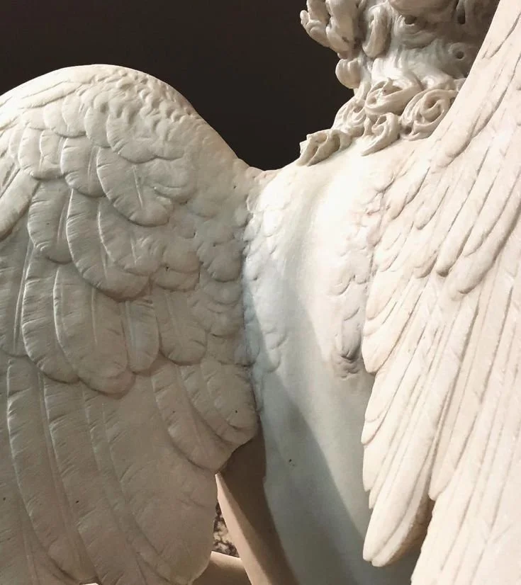 Close-up of a white marble sculpture of an angel with detailed feathers, focusing on the wings and part of the face.