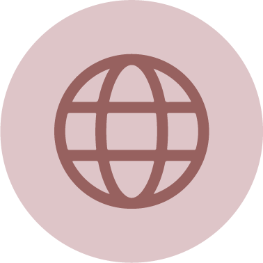 Icon of a globe with horizontal and vertical lines, representing the internet or global connectivity.