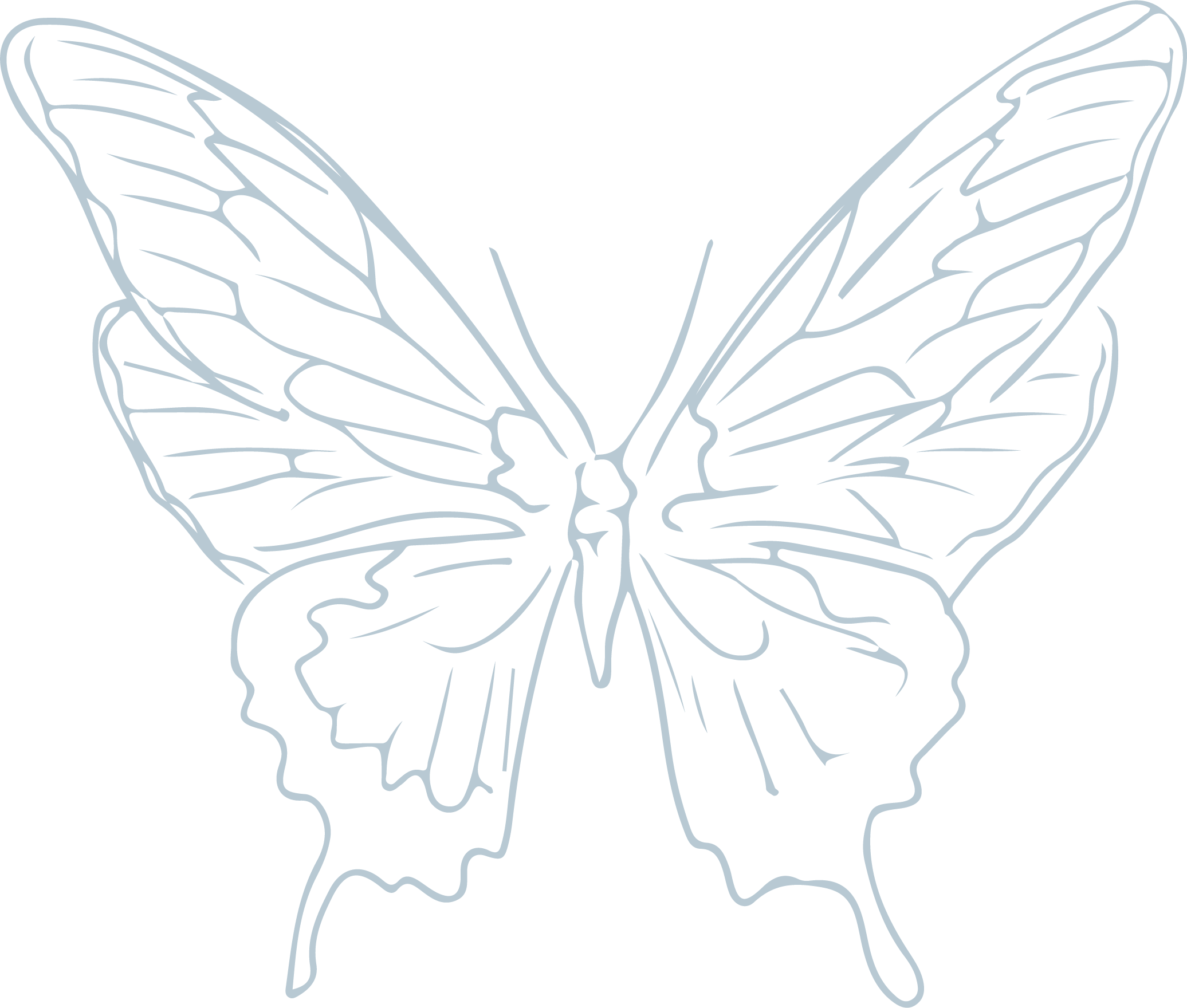 Outline drawing of a butterfly with detailed wing patterns on a black background.