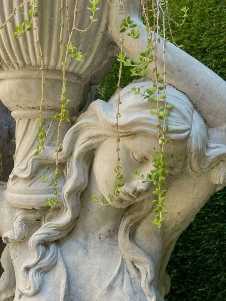 Close-up of a stone sculpture of a woman's face with long flowing hair, surrounded by hanging green vines, outdoors.