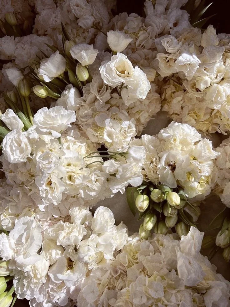 A close-up view of white flowers, including hydrangeas and freesia, with some green buds and leaves.