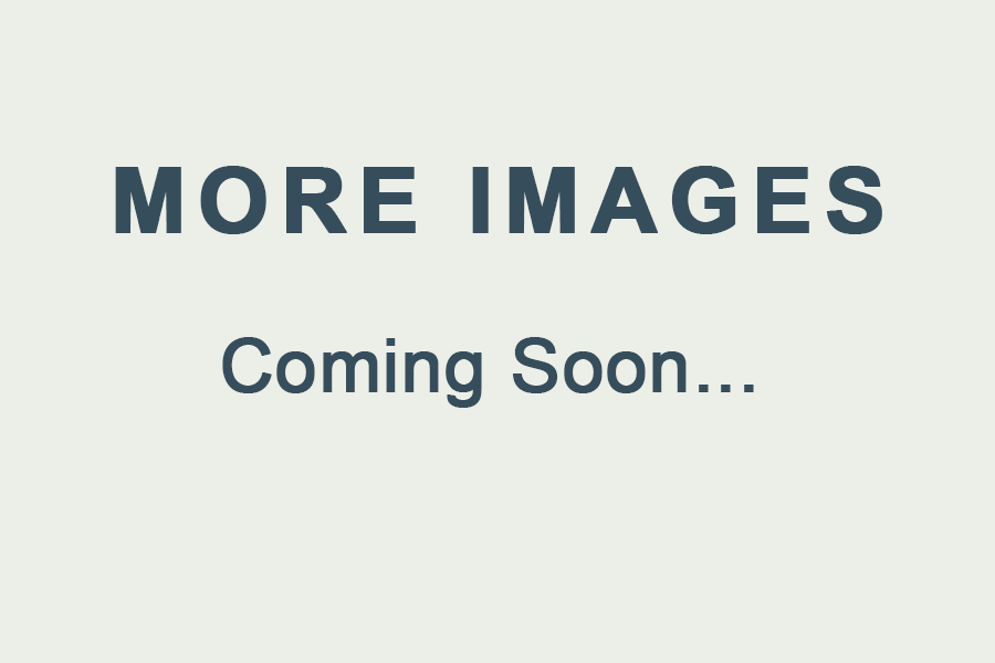 MoreImagesComing+Soon.png