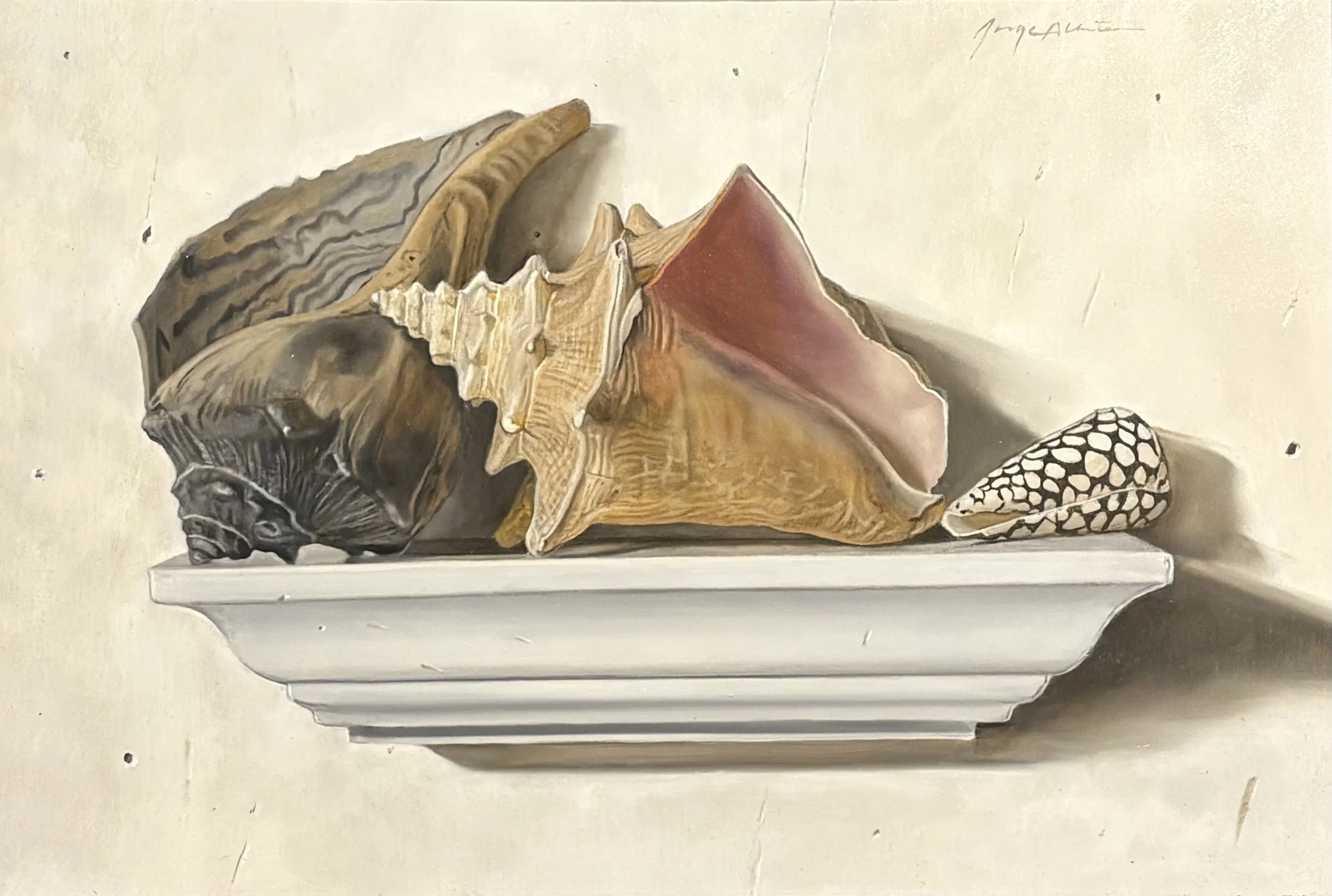 Jorge Alberto A Shell Collection 11x16 oil $2000