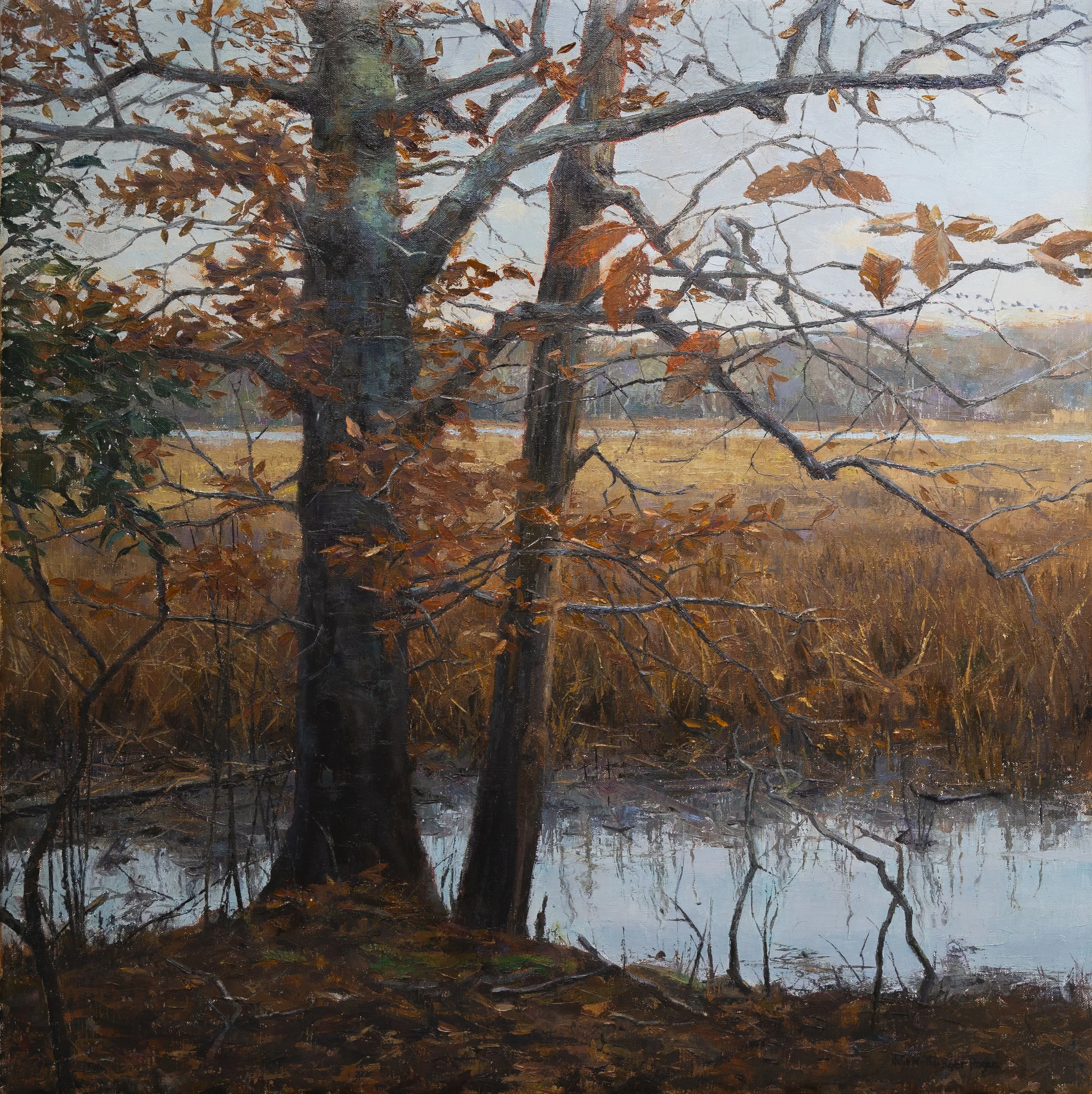 Julia Rogers Choptank Trail 24x24 oil $5900.jpg