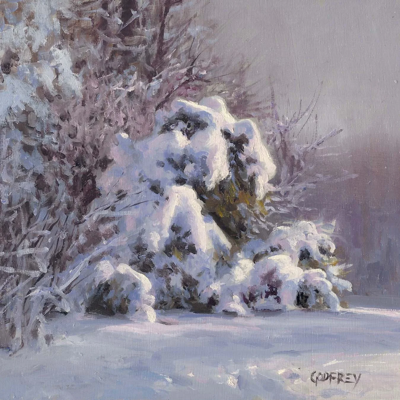 Michael Godfrey oil painting titled Winter Coat 6x6 of an evergreen tree bent over with the weight of snow
