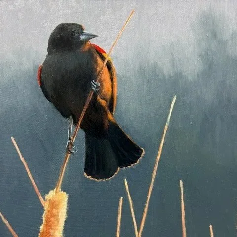 Paula Waterman