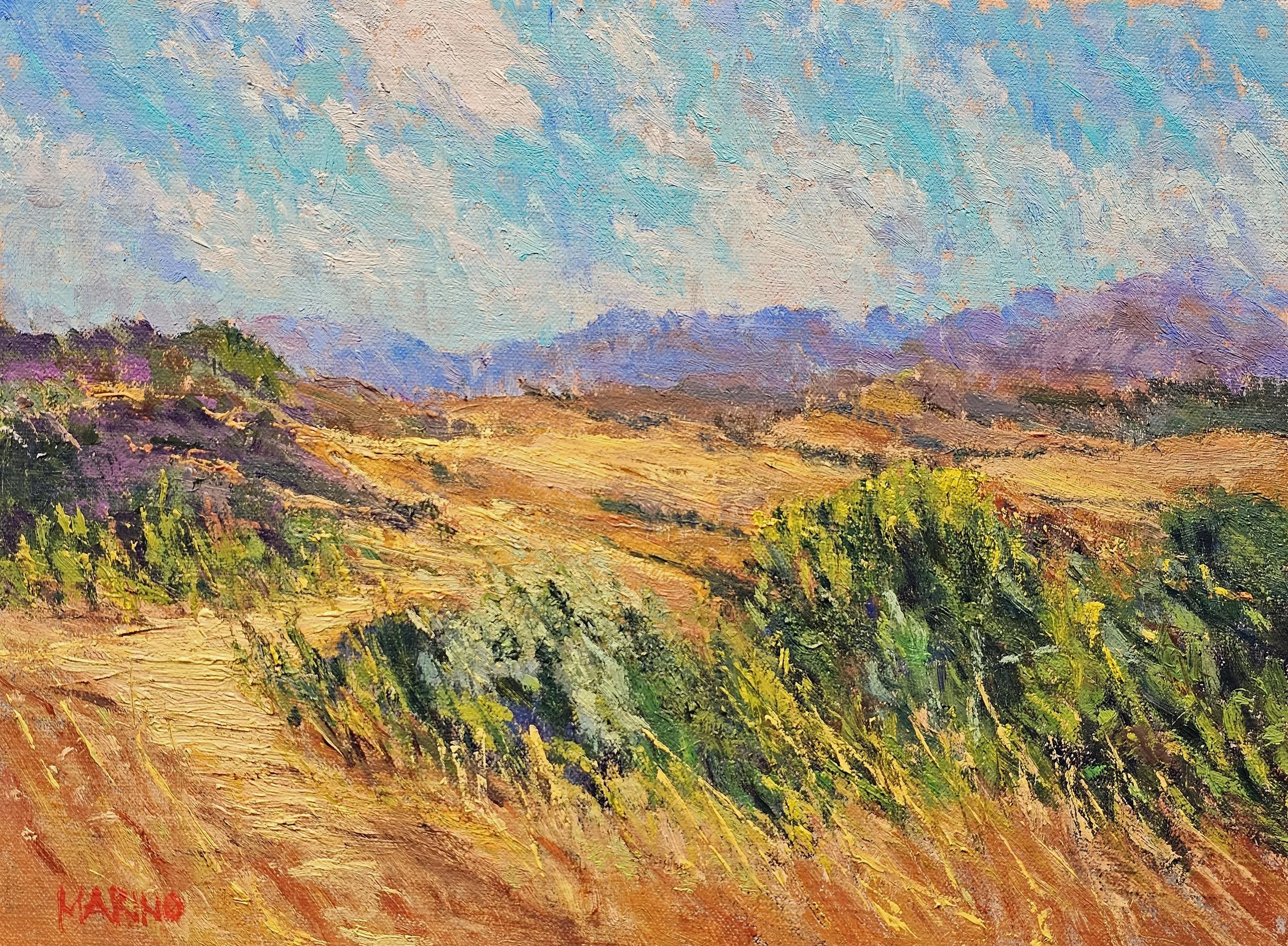 Maria Marino original oil painting titled Santa Lucia Highlands, $1100 9x12 at McBride Gallery