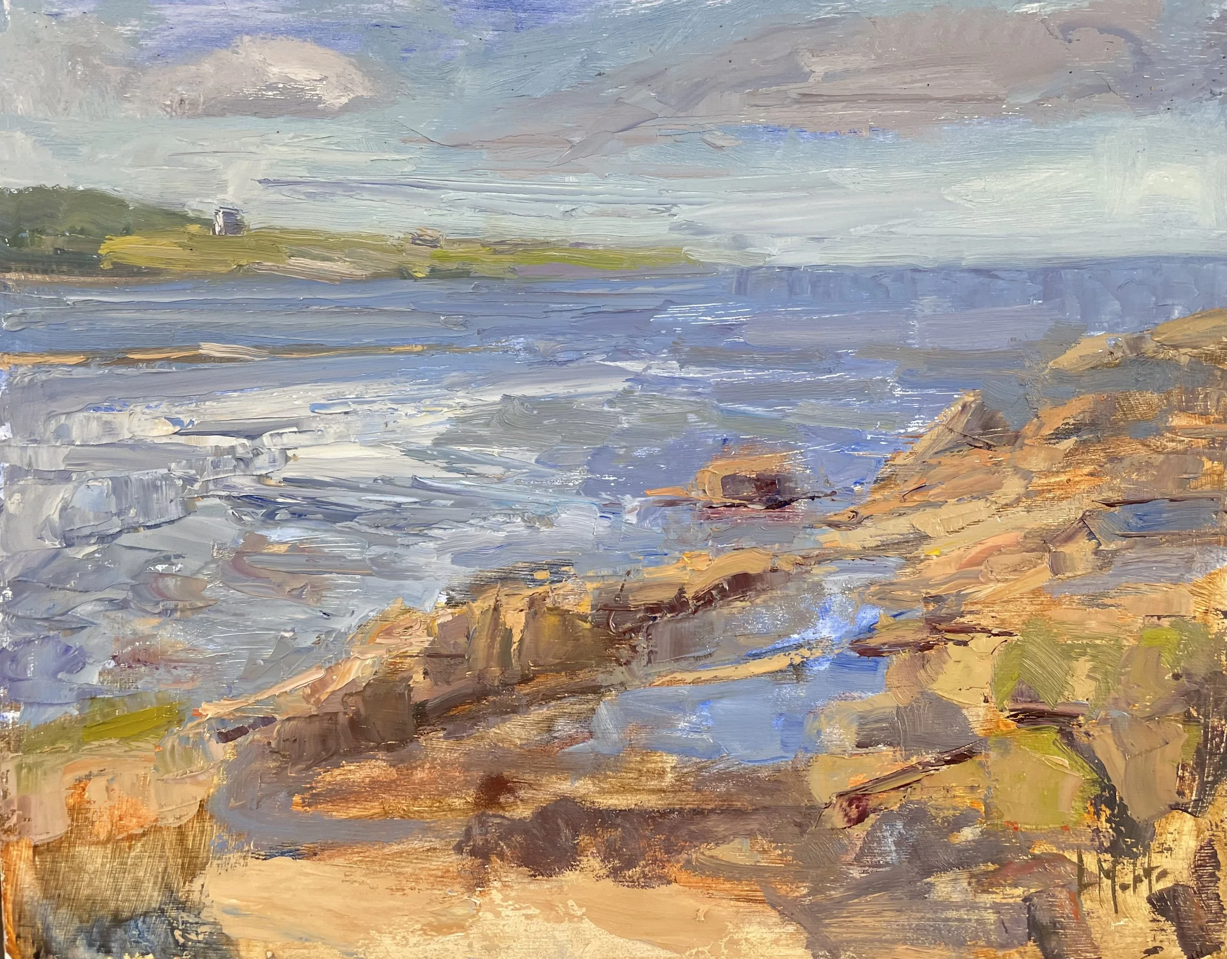 Lynn Mehta, Along the Sea 11 x 14 Oil $1250