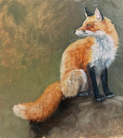 Paula Waterman Sitting Fox 9x8 Oil $795