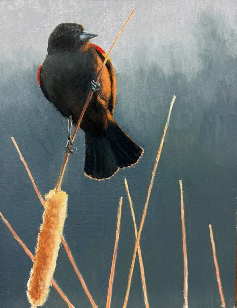 Paula Waterman, Cattail Visitor 12 x 9 Oil $975
