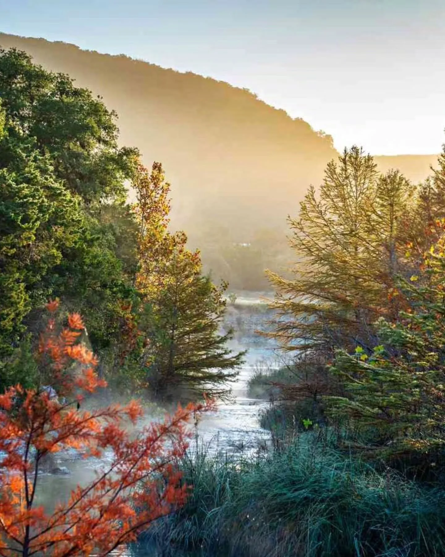 A golden afternoon in Fredericksburg, catching the last echoes of fall, the final leaves of 2025 clinging to the Hill Country oaks before winter settles in.