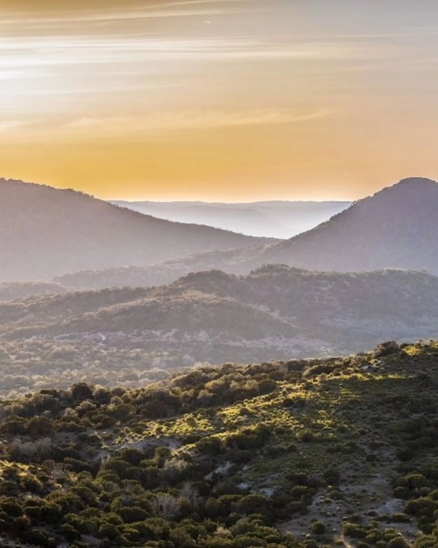 January in the Hill Country brings quiet magic. Cold mornings invite deer, foxes and winter birds to wander the canyons, and the landscape feels alive in a calmer, slower rhythm. Life at The Canyon Club begins with nature outside your door.