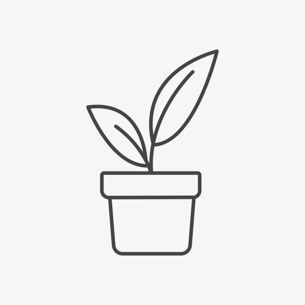 Outline drawing of a potted plant with two large leaves.
