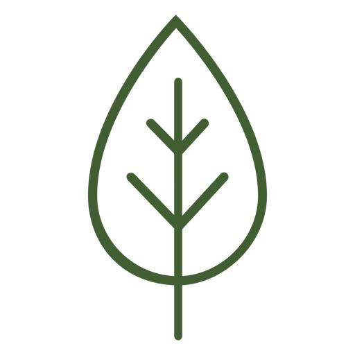 A simple line drawing of a leaf with internal veins.
