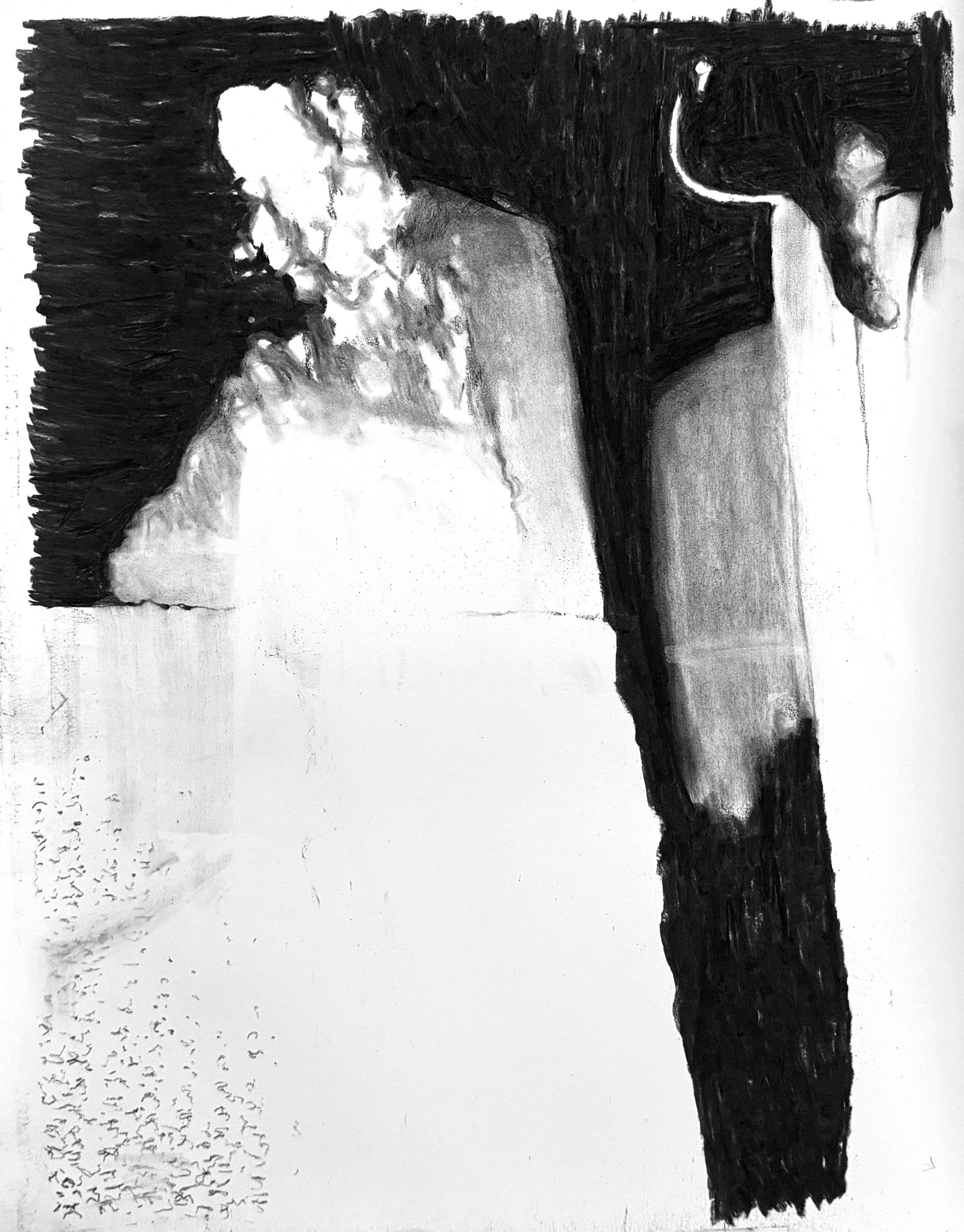 Artist: Lauren Toomer
Title: Light Blooms