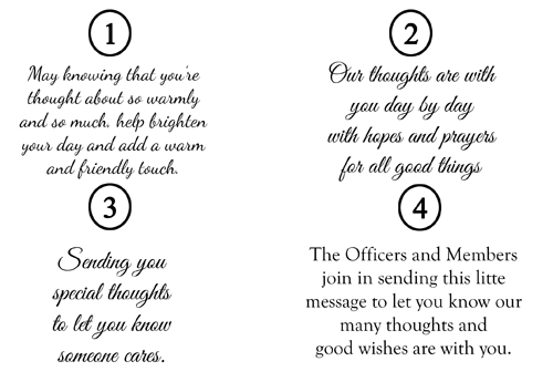 toysentiments rs.png