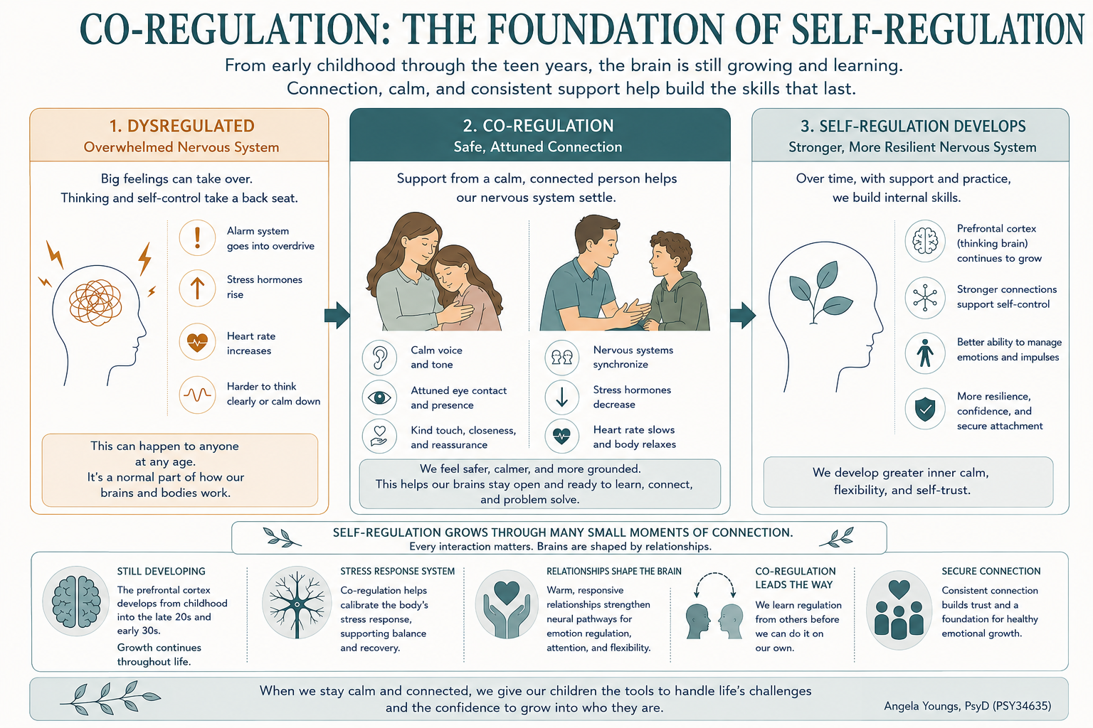 Co-regulation diagram: "Diagram showing the three-stage co-regulation cycle: dysregulation, co-regulation with a calm caregiver, and the development of self-regulation over time."