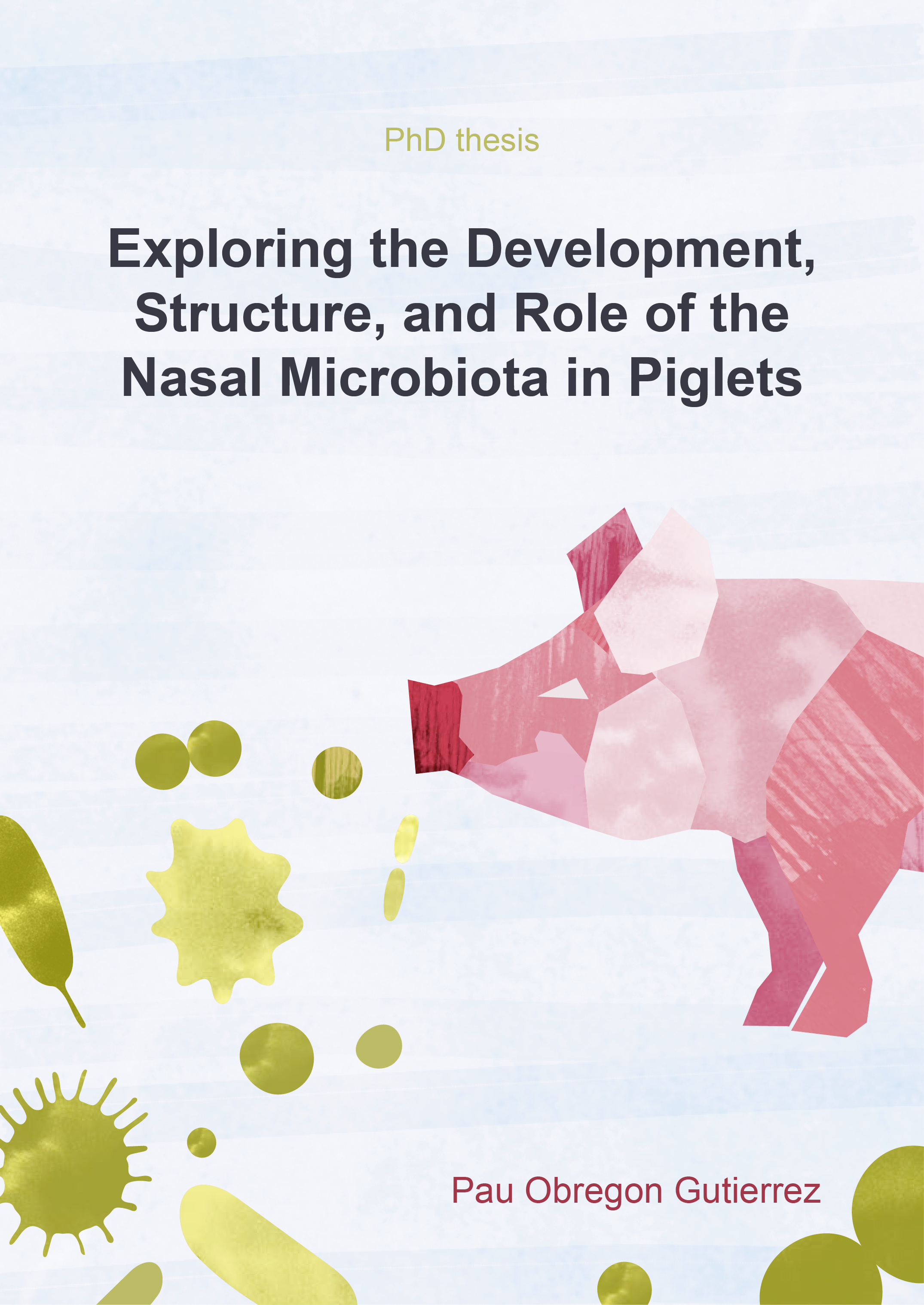Thesis cover for Pau Obregon. His work, supported by Universitat Autònoma de Barcelona and IRTA-CReSA Centre de Recerca en Sanitat Animal, provides new insights into the development, composition, and immunological relevance of the nasal microbiota in