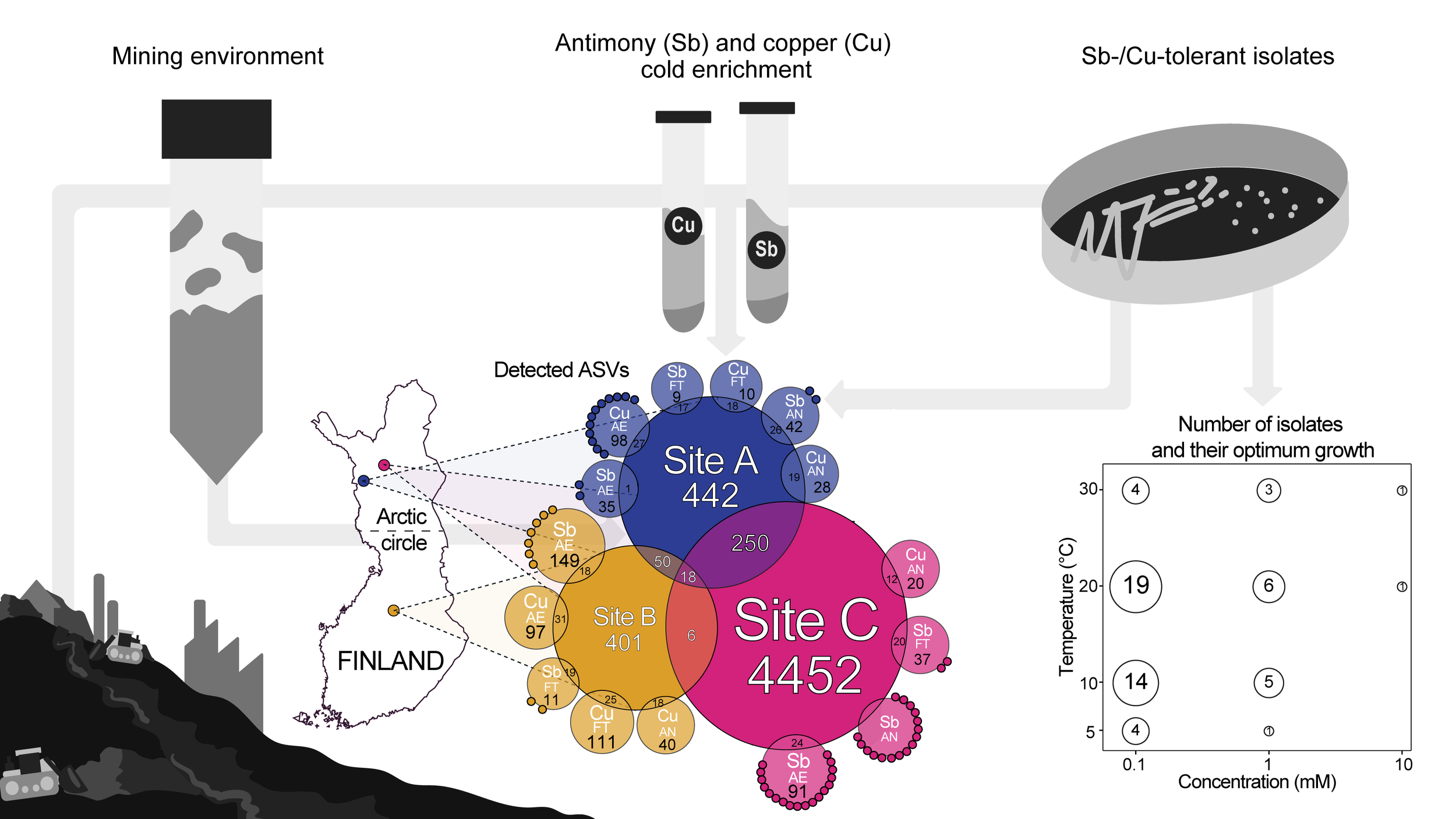 Francisca Prieto-Fernández, et.al. Assessment of microbial communities from cold mine environments and subsequent enrichment, isolation and characterization of putative antimony- or copper-metabolizing microorganisms. 2024.
10.3389/fmicb.2024.1386120