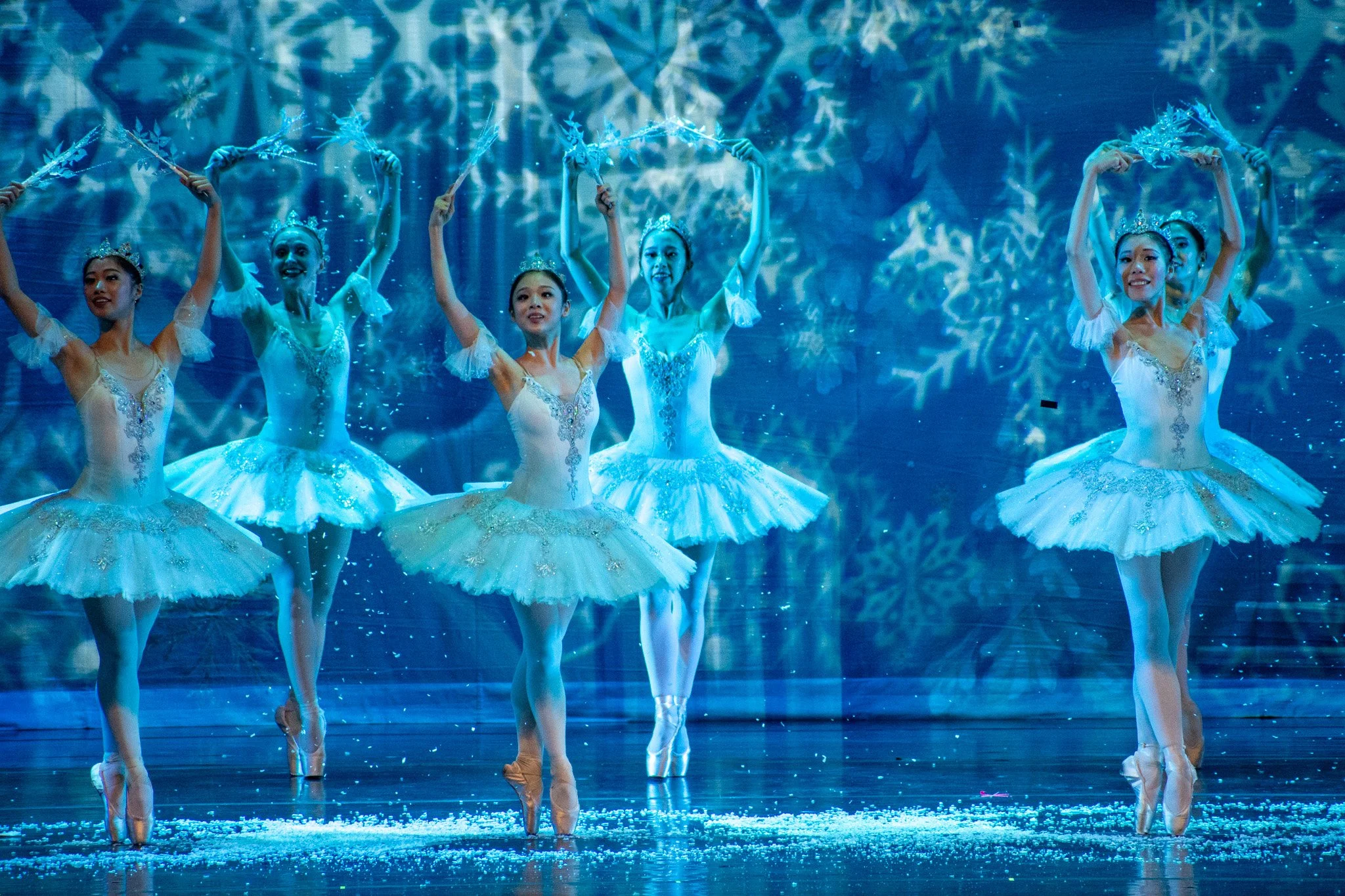 Copy of DSC_1223.jpeg