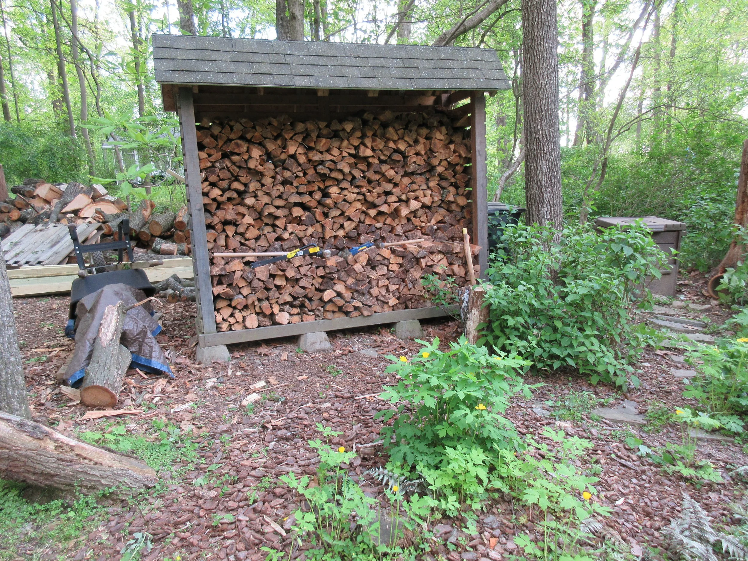 Woodshed #1 full