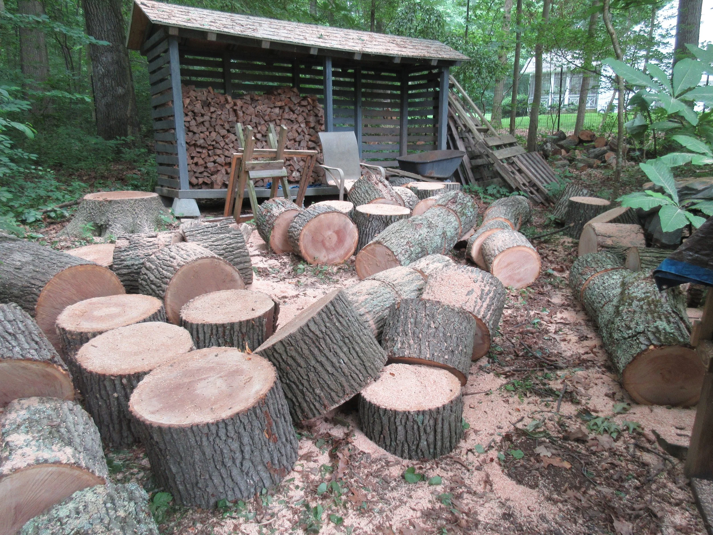 2024 splitting