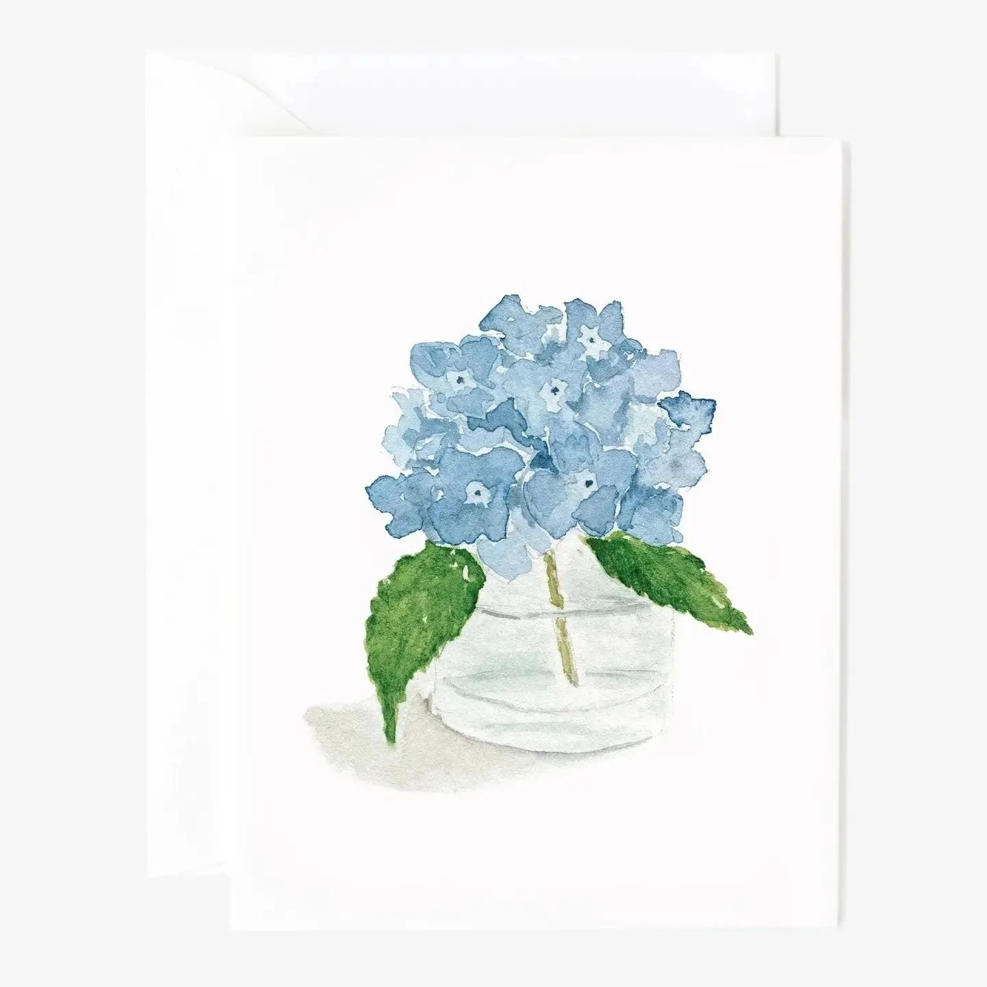Hydrangea .jpeg