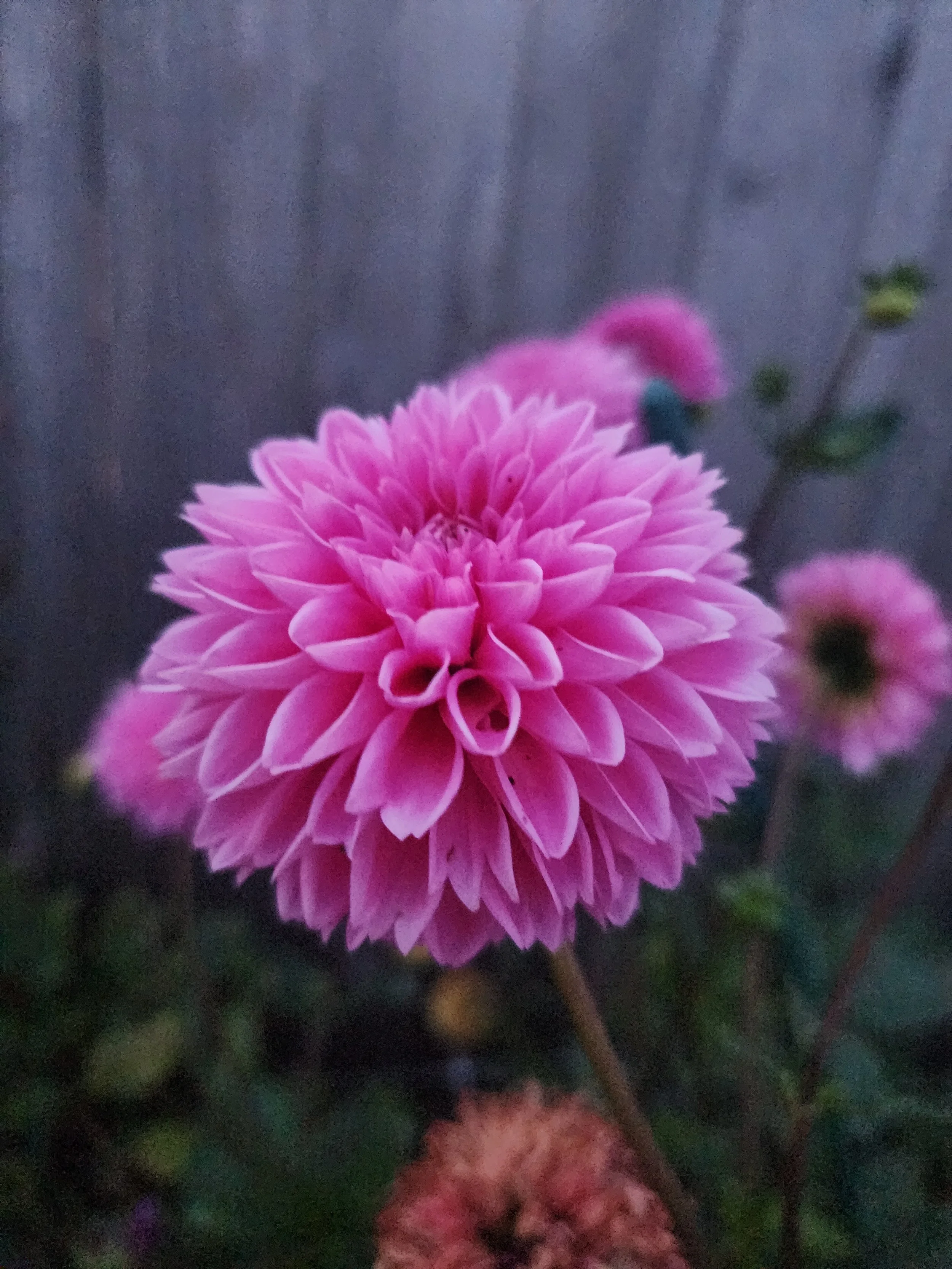 20240921_191855.jpg