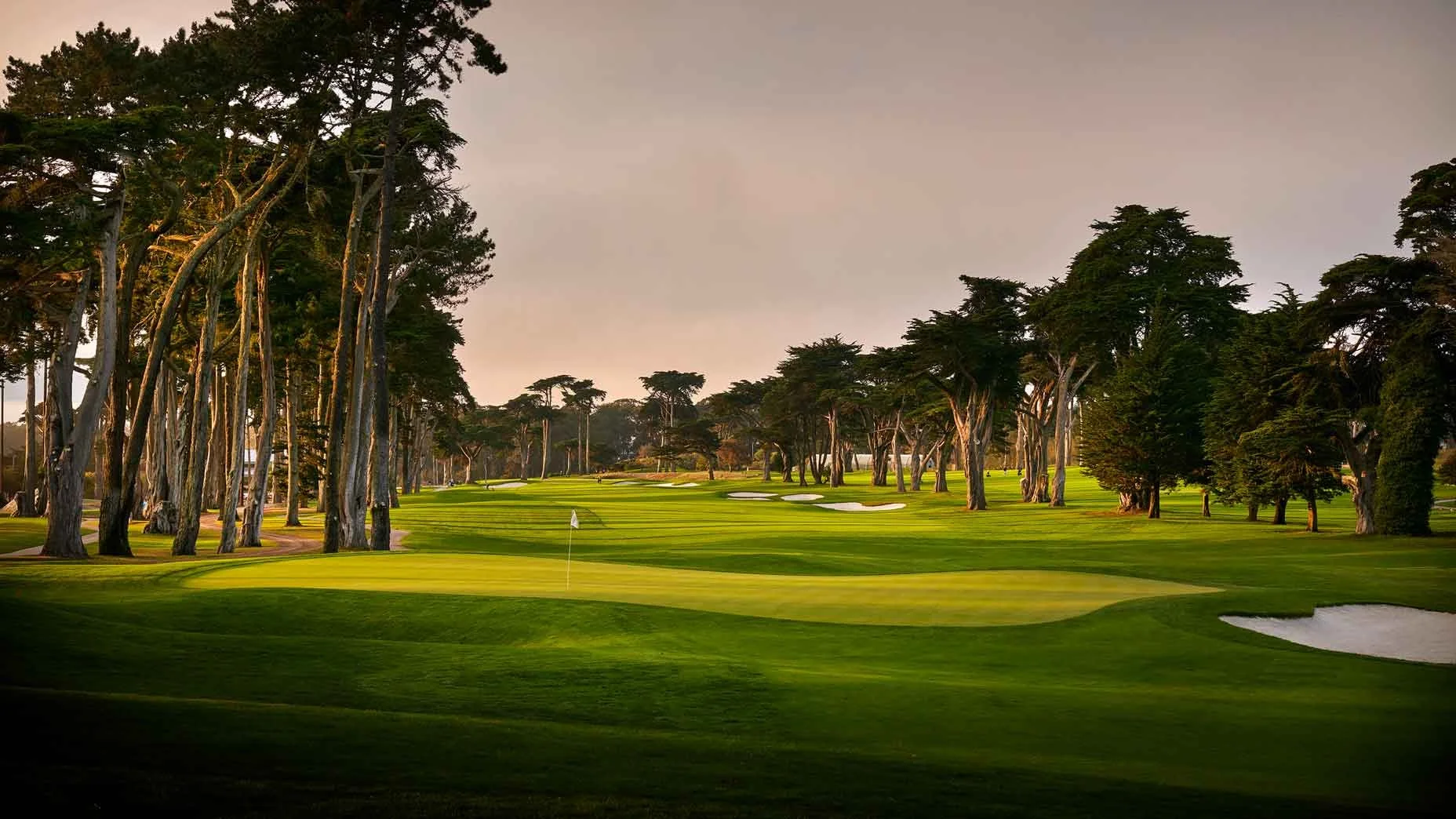 11th Annual SFASA Pettinelli Golf Tournament