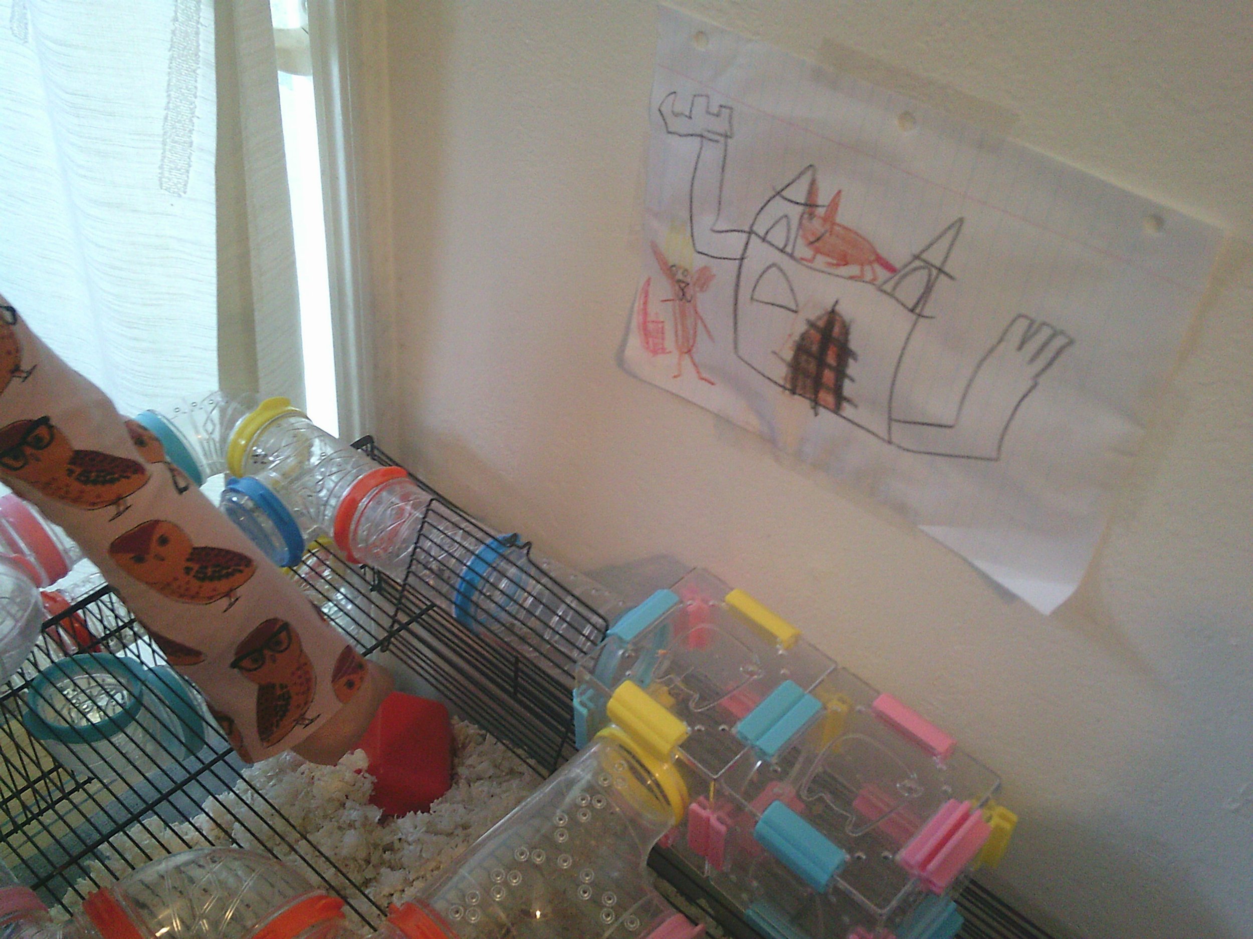 A hamster tube with a drawing of the hamster tube on the wall behind it