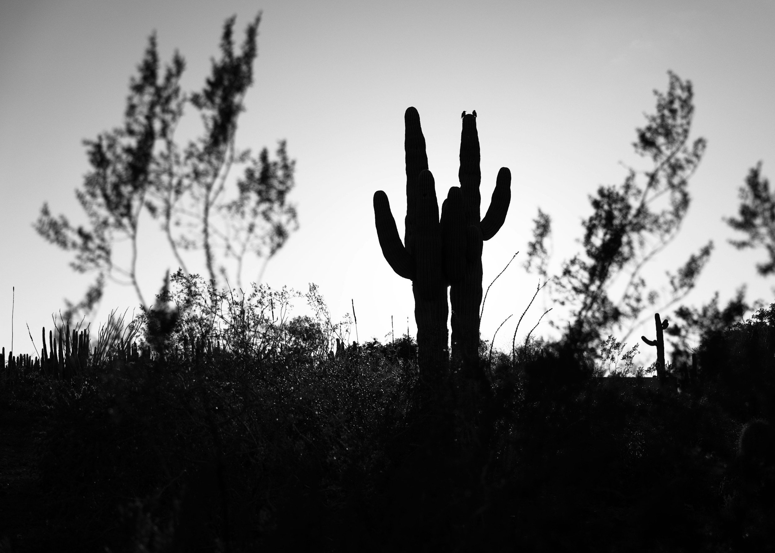 unsplash-image-7SuqhhM6-9c.jpg