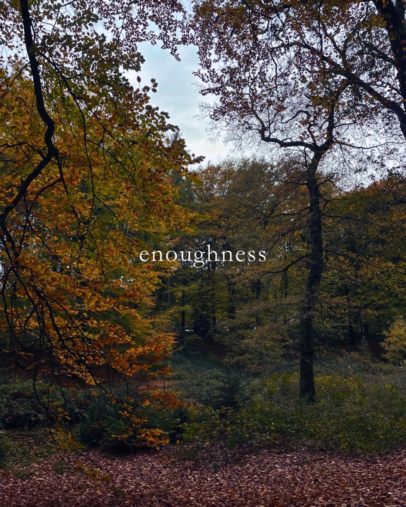🌿Enough- ness comes to me when I walk with nothing but myself in the woods. Steady drumbeat, the sound of my feet against the earth, my heart, the sound of being enough.

Then you take again a fresh look in your life, they persuade us, every day we 