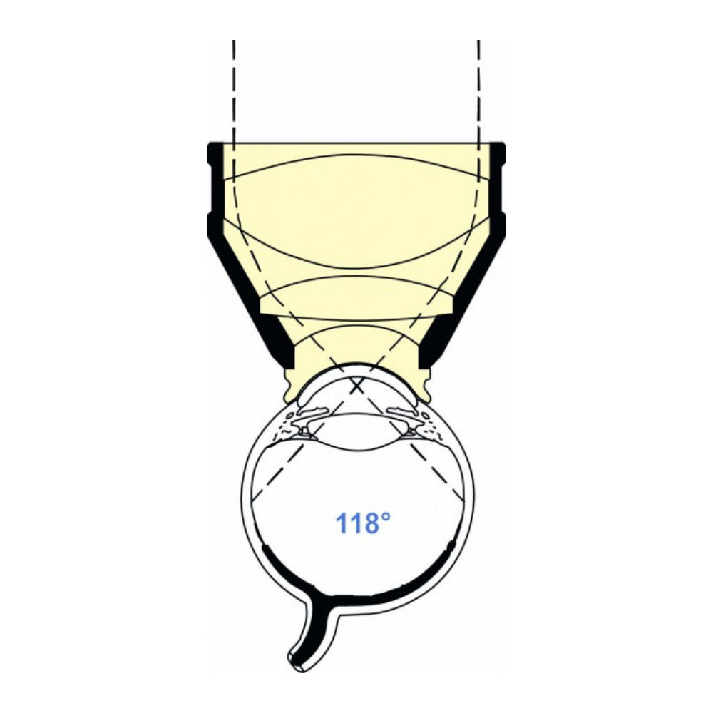 Plantilla Web 1000X 1000 (1).png