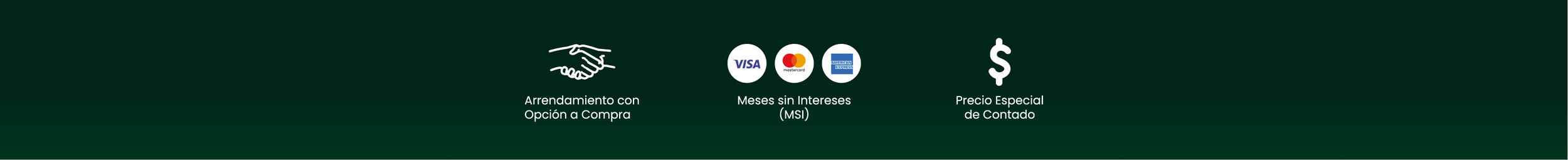Fondo verde con iconos y textos relacionados con ofertas de financiamiento y pagos, incluyendo apretón de manos, logos de tarjetas (VISA, MasterCard, American Express), texto en español sobre financiamiento y precios.