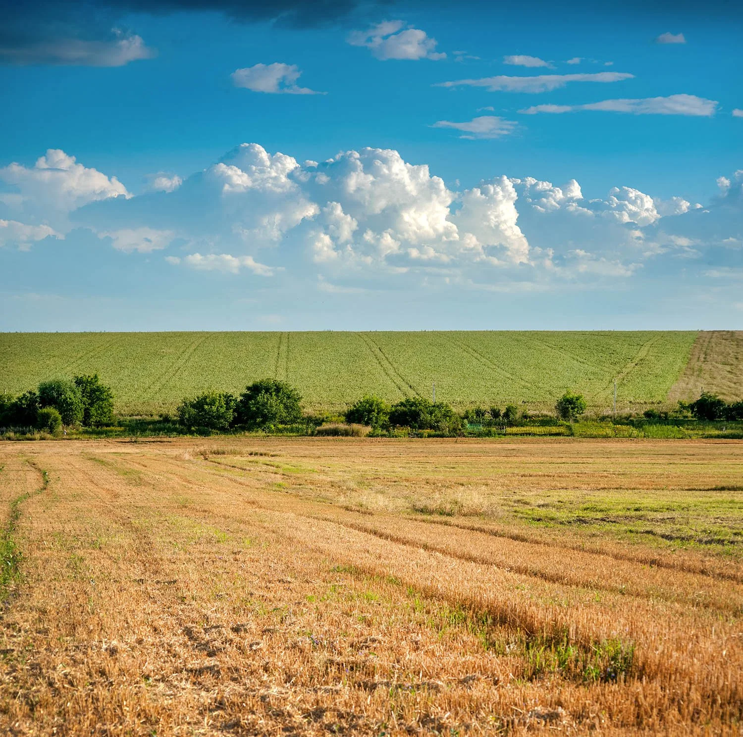 Rural 1st - Home Loans — Oklahoma AgCredit