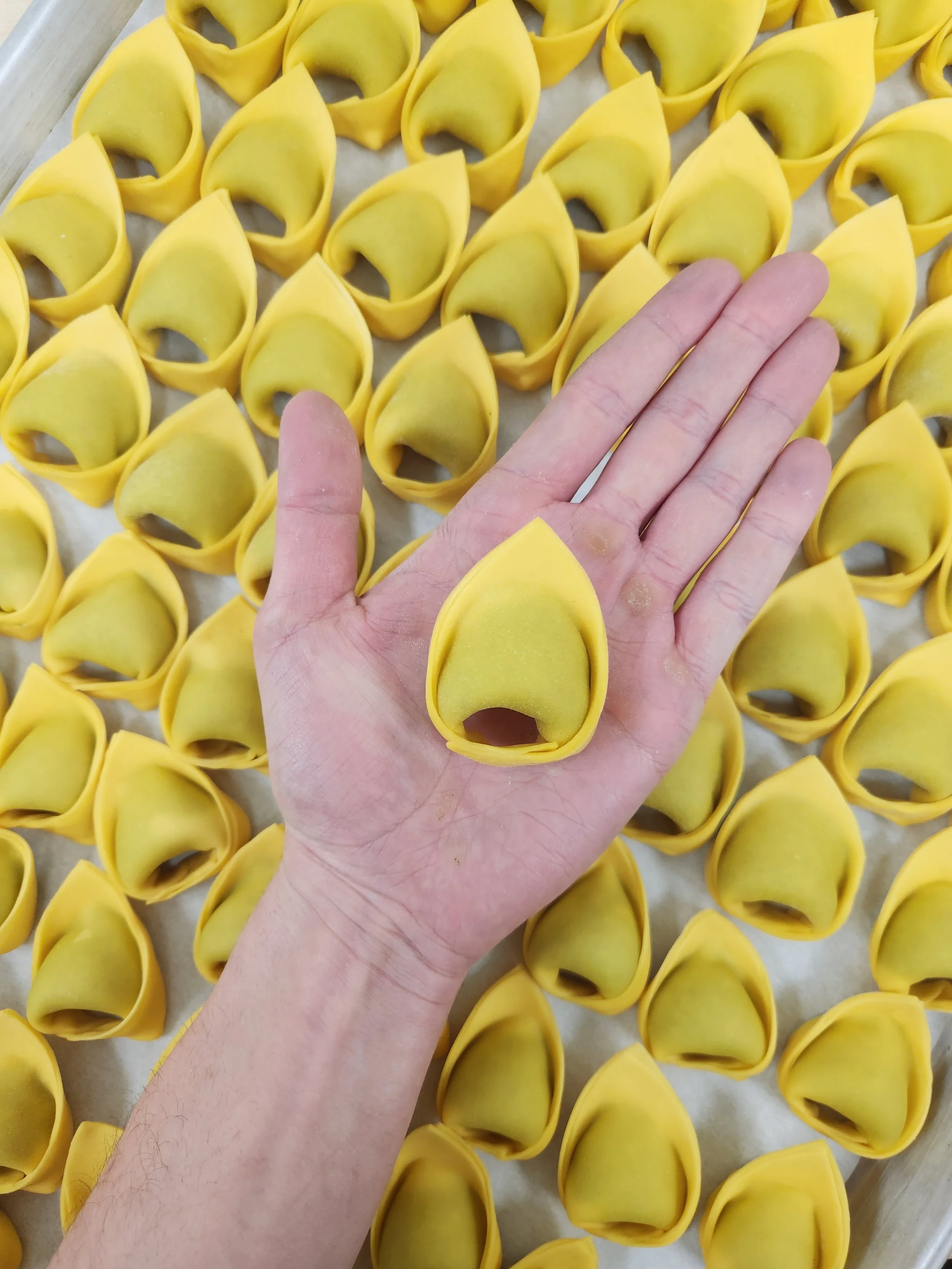 Hand holding a piece of yellow tortellini pasta with a background of similar uncooked tortellini on a baking sheet.