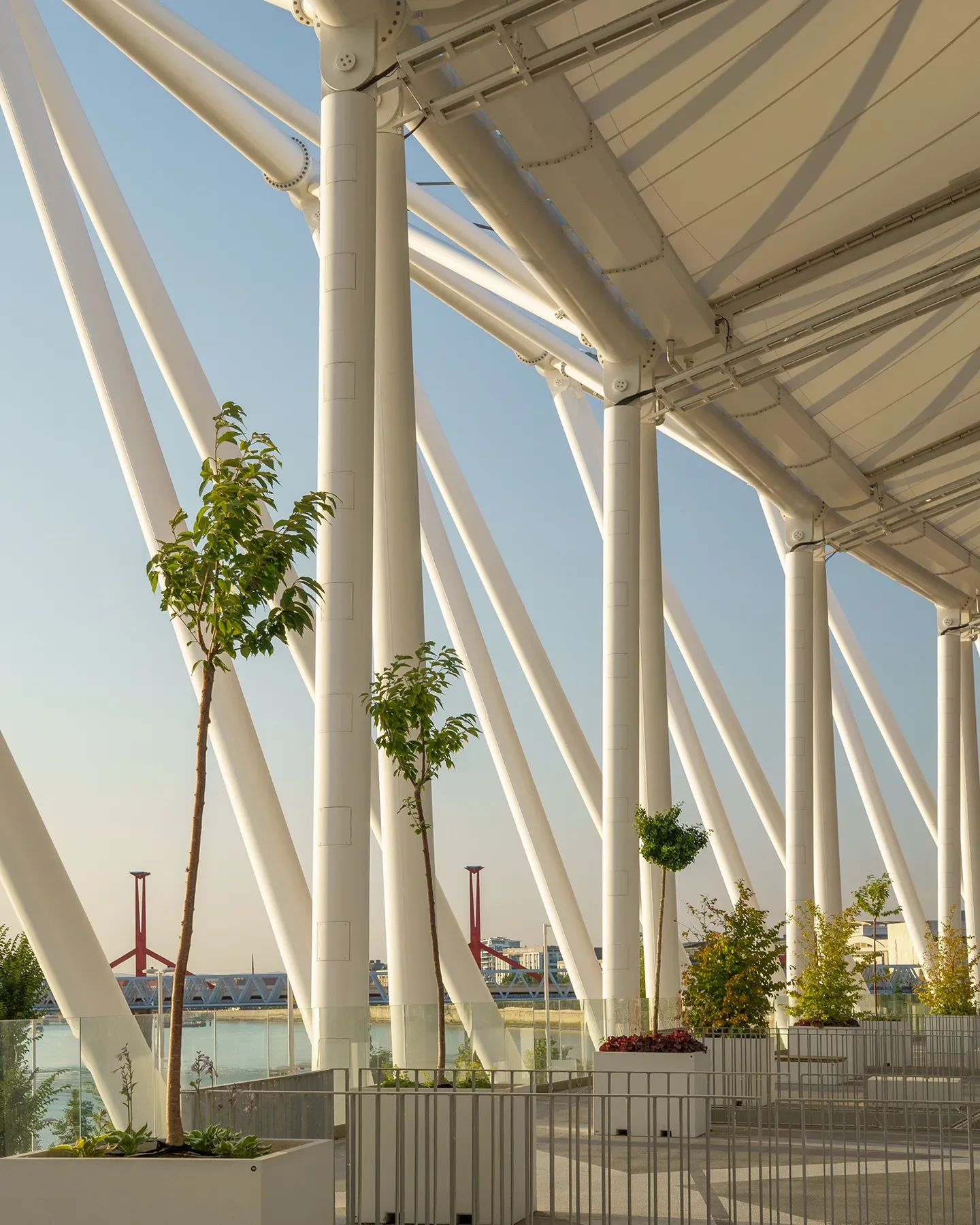 Vertical view of Budapest Athletics Stadium first-level curved structure with white metal supports and greenery in foreground