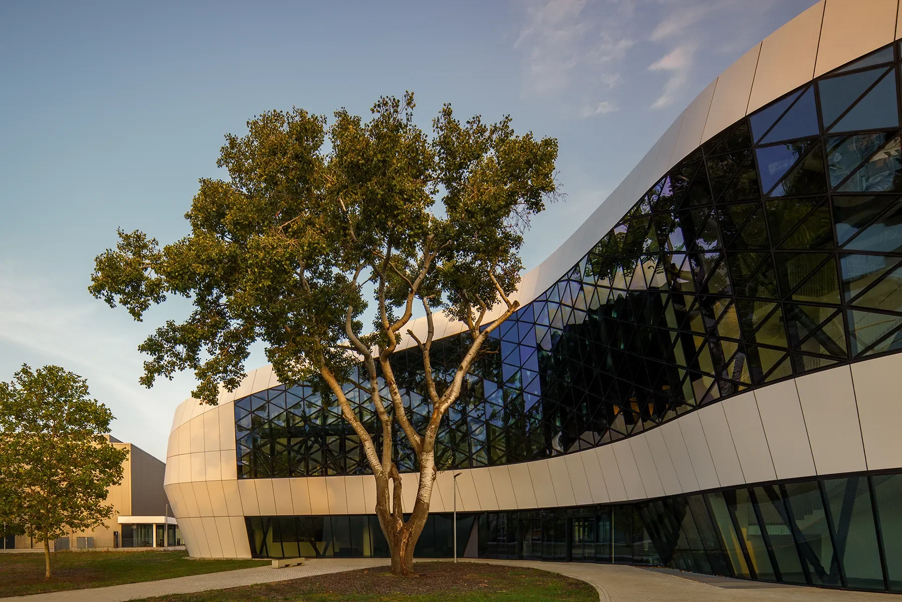Left-side view of Hungexpo F1 Reception Building in Budapest with large tree in center, highlighting the flowing curves and glass structure