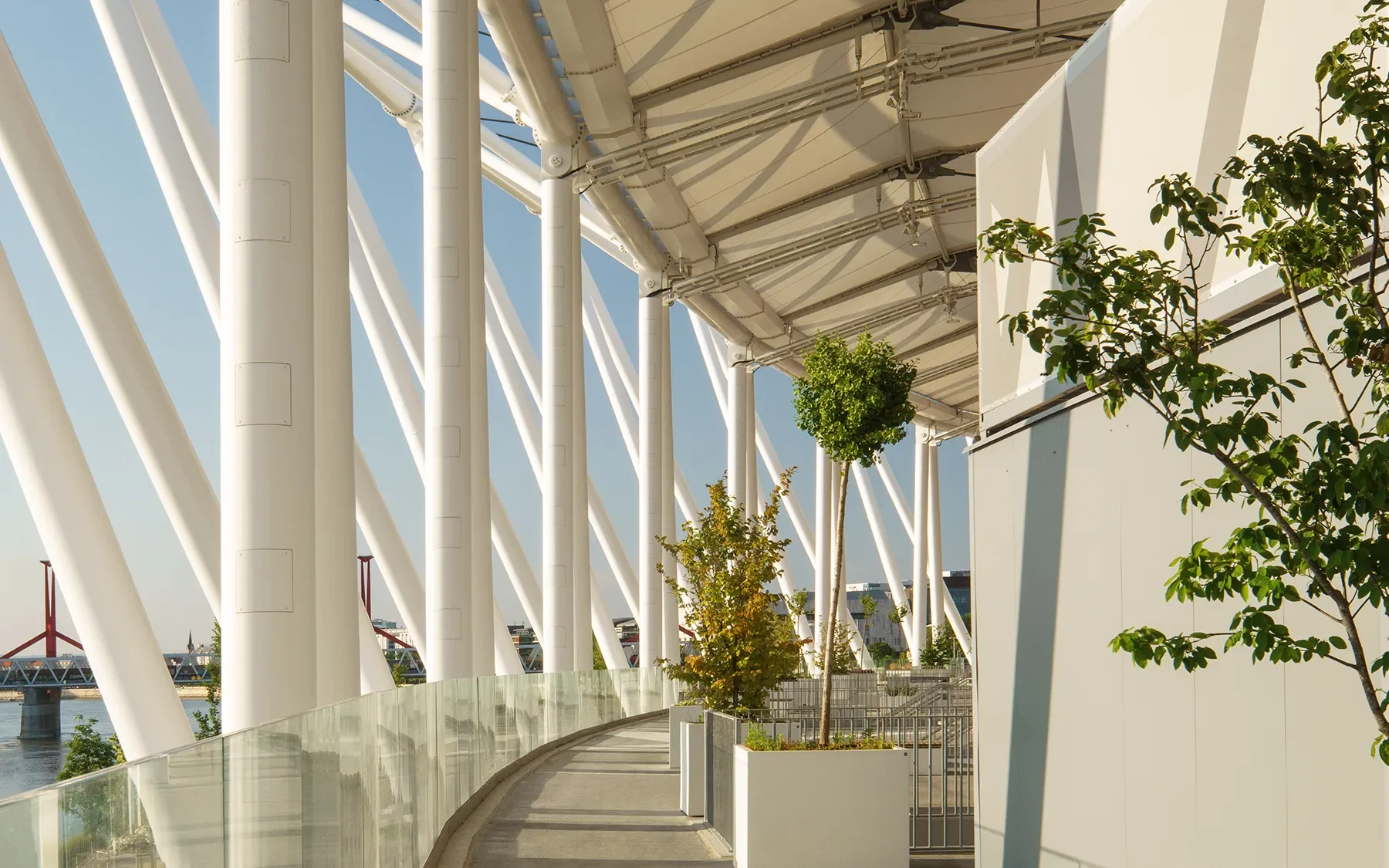 First-level view of Budapest Athletics Stadium showing curved building, white metal structures, glass fence, sunset-lit greenery, and Rakoczi Bridge