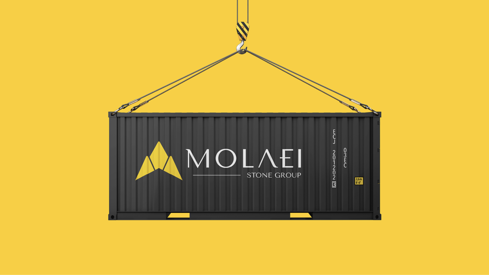 Logo Design & Brand Identity - Molaei Group