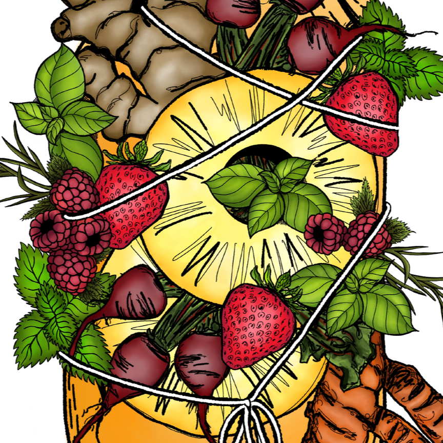 Kombucha Illustration & Lettering