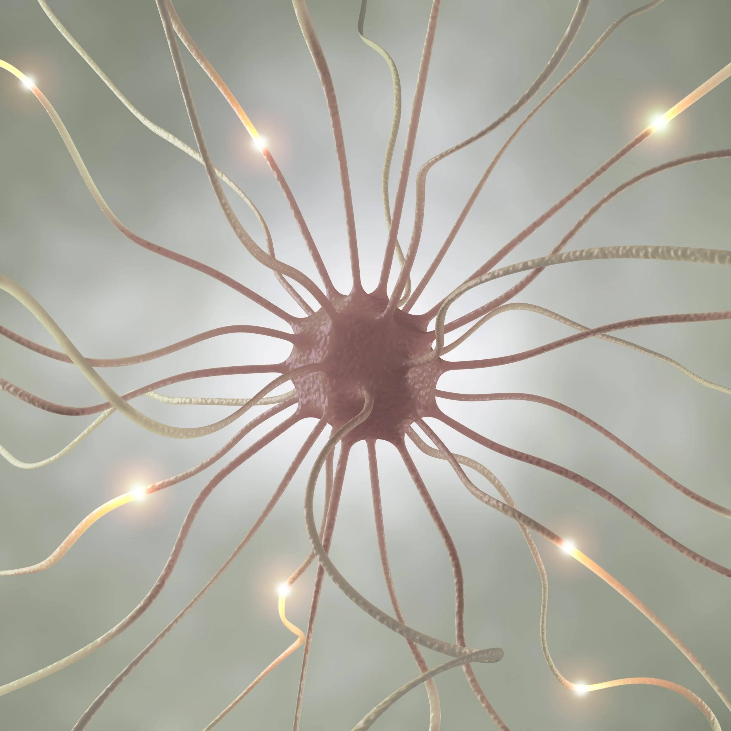 Your Nervous System Is Not Your Enemy