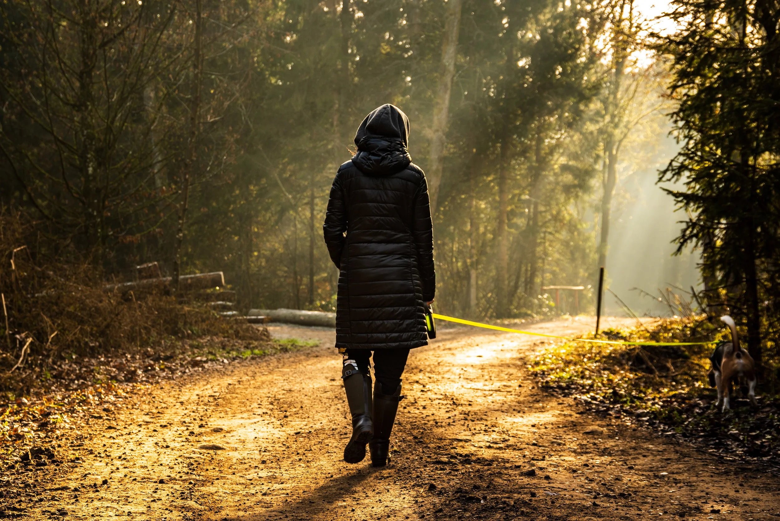 Movement and the Creative Brain