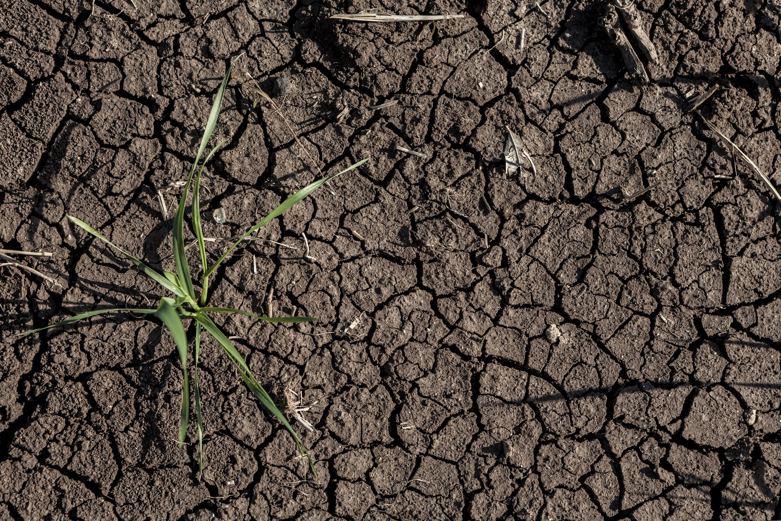 The Creative Drought