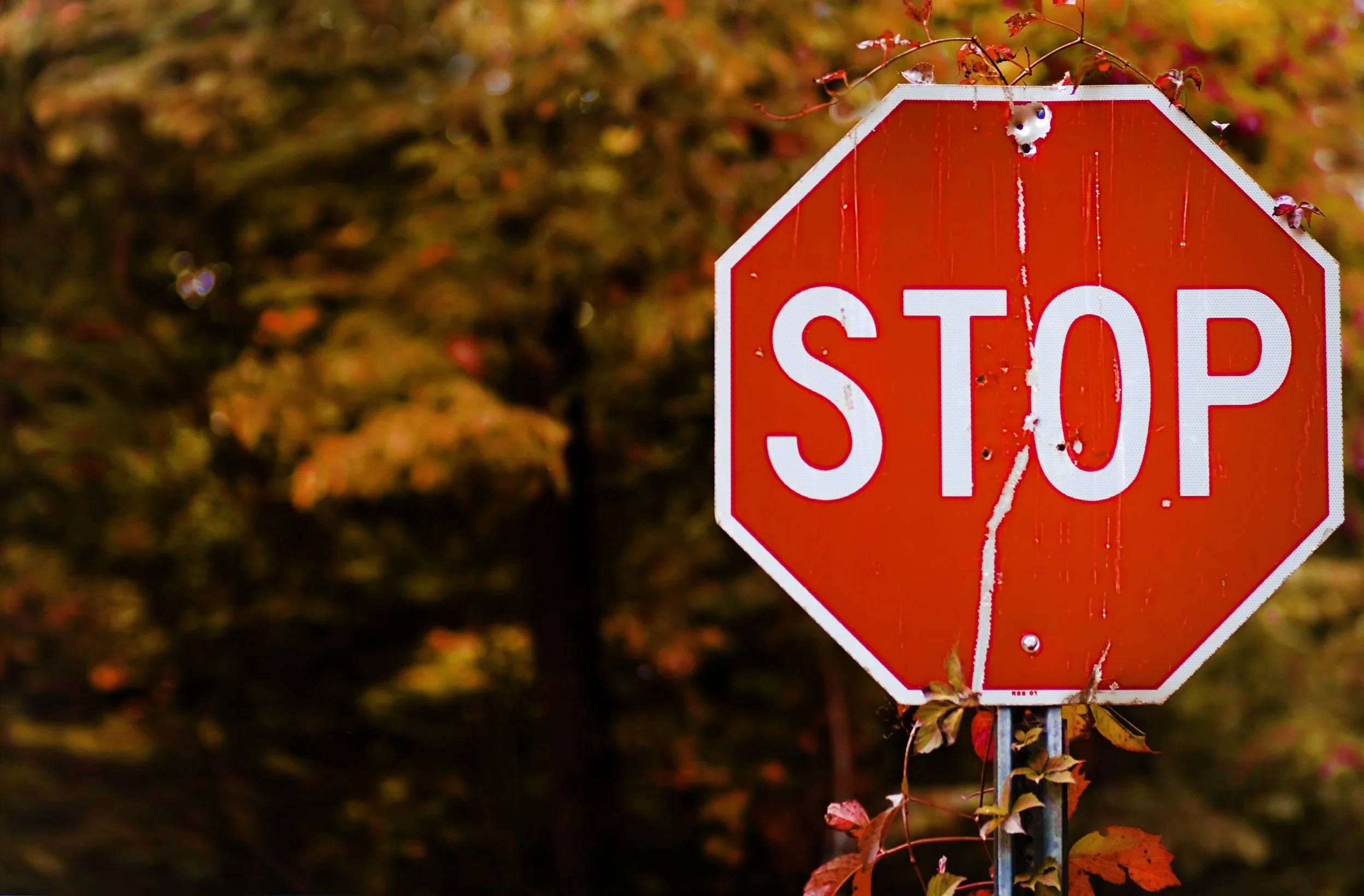 The Permission to Stop